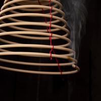 Esschert Design Citronella spiraal - thumbnail