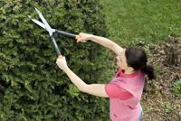 Fiskars Powerlever heggenschaar HS52 - thumbnail