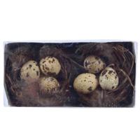 Decoris Nest wilg set a 2 stuks 8cm - thumbnail