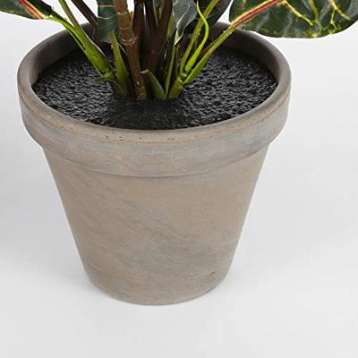 Decoratieve plant Mica Decorations Croton Groen PVC (73 x 40 cm)
