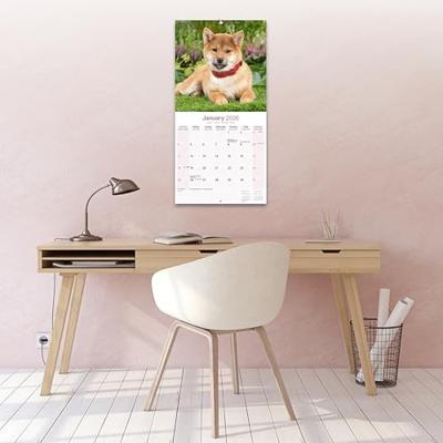 Shiba Inu Kalender 2026 Shiba Inu Kalender 2026