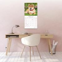 Shiba Inu Kalender 2026 - thumbnail