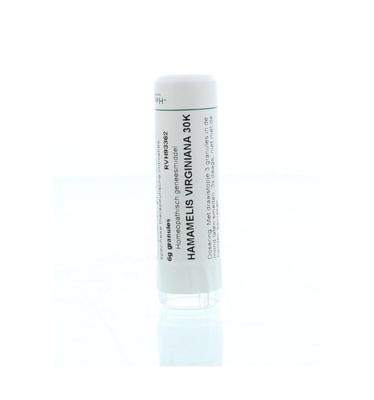 Homeoden Heel Hamamelis virginiana 30K 6 Gram Homeoden Heel Hamamelis virginiana 30K 6 Gram