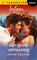Een grote verrassing - Maxine Sullivan - ebook - thumbnail