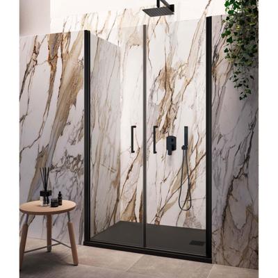 Nisdeur Lacus Giglio Evo Saloon 2 Klapdeuren 120x200 cm Helder Glas Zwart Lacus