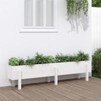 Plantenbak verhoogd 160x30x38 cm massief grenenhout wit - thumbnail