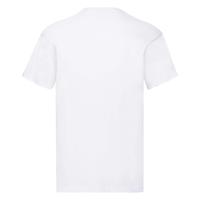 FRUIT OF THE LOOM ORIGINAL T ADULT T-SHIRT - thumbnail