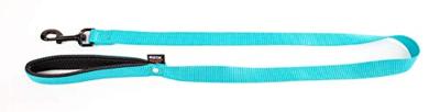 Martin hondenriem nylon turquoise Martin hondenriem nylon turquoise