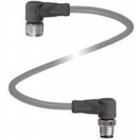 Pepperl+Fuchs 305874 Sensor/actuator connector, geassembleerd Aantal polen (sensoren): 4, 4 0.2 m 1 stuk(s) - thumbnail