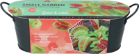 Grow gifts kweekset small garden venus fly trap Buzzy - Buzzy - thumbnail