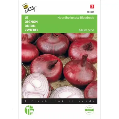 Zaden Ui Noordhollandse Bloedrode Buzzy - Buzzy