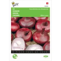 Zaden Ui Noordhollandse Bloedrode Buzzy - Buzzy - thumbnail