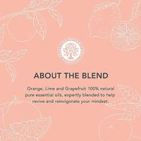 Diffuser oil energy boost 9 Milliliter - thumbnail