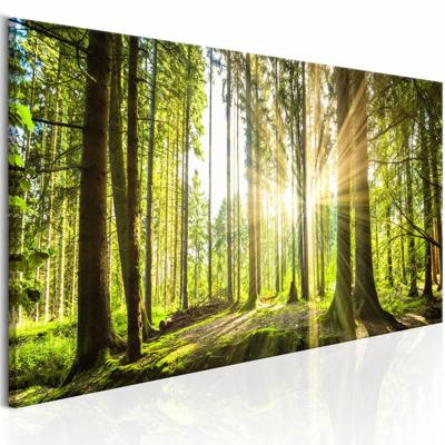 Schilderij - Daglicht, Bruin/Groen, 1luik , premium print op echt Italiaans canvas, 3 maten, prachtige natuur, wanddecoratie Schilderij - Daglicht, Bruin/Groen, 1luik , premium print op echt Italiaans canvas, 3 maten, prachtige natuur, wanddecoratie