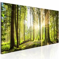 Schilderij - Daglicht, Bruin/Groen, 1luik , premium print op echt Italiaans canvas, 3 maten, prachtige natuur, wanddecoratie - thumbnail