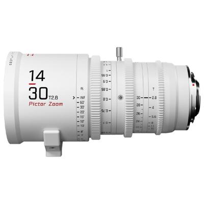 DZOFILM Pictor Zoom 14-30mm T2.8 wit