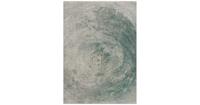 Jackie And The Fish - Vloerkleed Nautilus Lichen Fossil (outlet) - 170x240 cm - thumbnail
