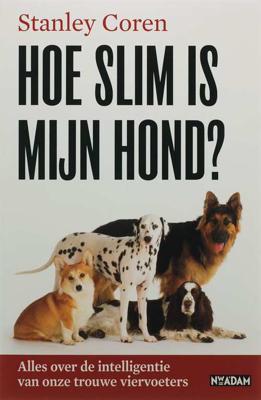 Hoe slim is mijn hond? (Paperback)