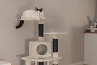 Beeztees Dominjo Krabpaal Creme 50x50x123 cm - thumbnail