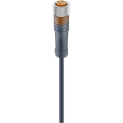 Lumberg Automation 18213-1 Sensor/actuator connector, geassembleerd M8 Aantal polen (sensoren): 4 Bus, recht 5.00 m 1 stuk(s)