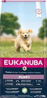 Eukanuba - Kroketten rijk aan lam en rijst voor puppy's van grote rassen - Gevoelige spijsvertering - DHA en calcium - Bevordert de groei, Lam & Rijst 12 kg - thumbnail