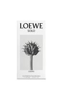 Loewe Solo Cedro Pour Homme 100 ml Eau de toilette Heren - thumbnail