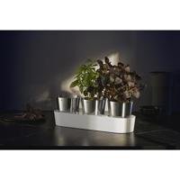 WMF Herb Garden set 3-pcs. Gourmet Plantenpot Vrijstaand Roestvrijstaal Roestvrijstaal, Wit Binnen - thumbnail