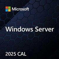 Microsoft Windows Server CAL 2022 Client Access License (CAL) 1 licentie(s) - thumbnail