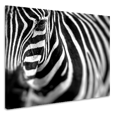 Schilderij - Zebra close up , premium print, 3 maten