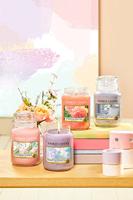Yankee Candle Sun-Drenched Apricot Rose kaars Rond Roze, Transparant Abrikoos, Roze 1 stuk(s) - thumbnail