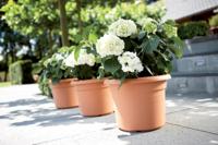 Elho green basics cilinder bloempot 35 cm mild terra - thumbnail