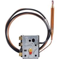 Jumo 60002994 Temperatuurbegrenzer - thumbnail