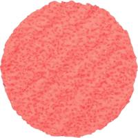 PFERD TOOLS CDR 38 CO-COOL 36 42776403 Schuurblad Korrelgrootte (num) 36 (Ø) 38 mm 100 stuk(s) - thumbnail