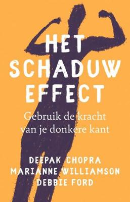Het schaduw effect (Paperback)