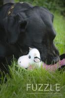 Fuzzle Pluche speelgoed voor honden, giraffe met 5 shiphers - thumbnail