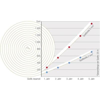 Tesa Venster-/deurtochtstrip | B9mmxH6mmxL6m | 10 stuks - 05428-00100-00 05428-00100-00 Tesa Venster-/deurtochtstrip | B9mmxH6mmxL6m | 10 stuks - 05428-00100-00 05428-00100-00