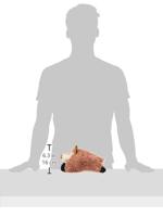 Hondenspeelgoed wild zwijn - thumbnail