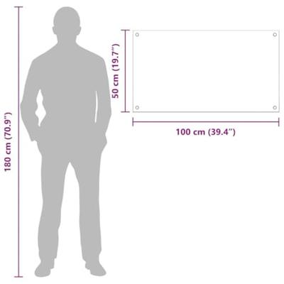 VidaXL Keuken achterwand 2 pcs doorzichtig 100 x 50 cm gehard glas VidaXL Keuken achterwand 2 pcs doorzichtig 100 x 50 cm gehard glas