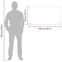 VidaXL Keuken achterwand 2 pcs doorzichtig 100 x 50 cm gehard glas - thumbnail