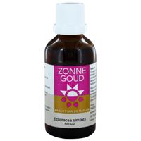 Zonnegoud Echinacea Simplex - thumbnail