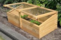 Strawberry Queen kweekkas - thumbnail