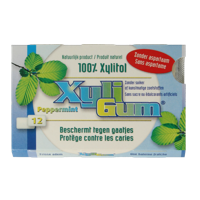 Xyligum Peppermint 12 Stuks - thumbnail