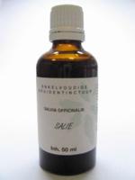 Salvia tribola fol / salie tinctuur bio - thumbnail