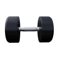 Dumbell 25 kg - thumbnail