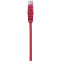 Renkforce RF-5043840 RJ45 Netwerkkabel, patchkabel CAT 5e U/UTP 1.00 m Rood Snagless 1 stuk(s) - thumbnail