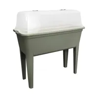 Kweektafel eucalyptus - thumbnail