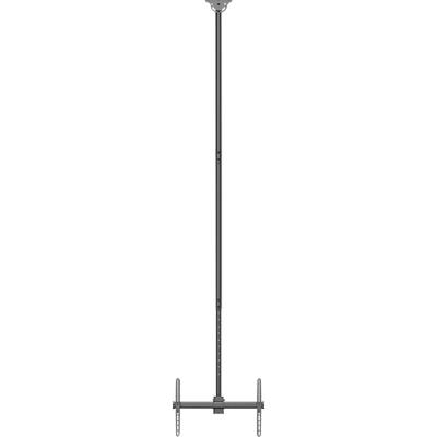 Neomounts CL35-440BL16XL TV-plafondbeugel In hoogte verstelbaar, Zwenkbaar, Kantelbaar 94,0 cm (37) - 177,8 cm (70) Plafondhouder