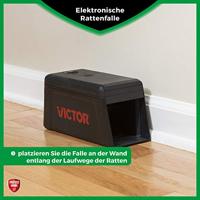 Rattenval Elektronisch 1st - thumbnail
