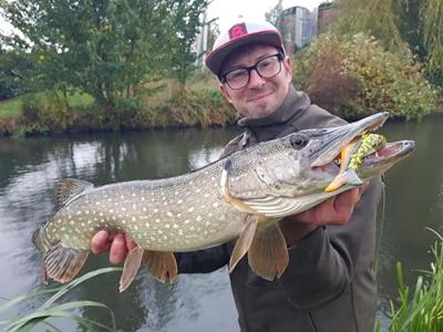 Rozemeijer Jerk & Swim 14cm 48Gr Speckled Blue Gill SBG