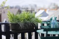 Elho greenville easy balcony 52 cm Living black - thumbnail